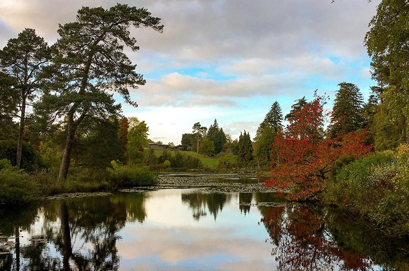 Bedgebury Pinetum and Forest​